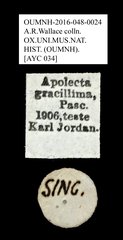 Apolecta transversa • All Rights Reserved Museum Label