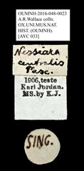 Nessiara centralis • All Rights Reserved Museum Label