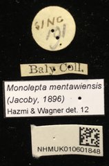 Monolepta mentaweiensis • All Rights Reserved Museum Label