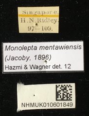 Monolepta mentaweiensis • All Rights Reserved Museum Label