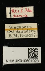 Pagria • All Rights Reserved Museum Label