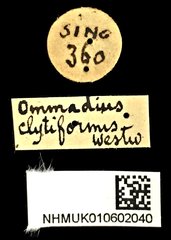 Omadius • All Rights Reserved Museum Label