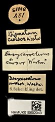 Stigmatium • All Rights Reserved Museum Label