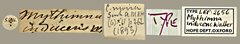 Carea inducens • All Rights Reserved Museum Label