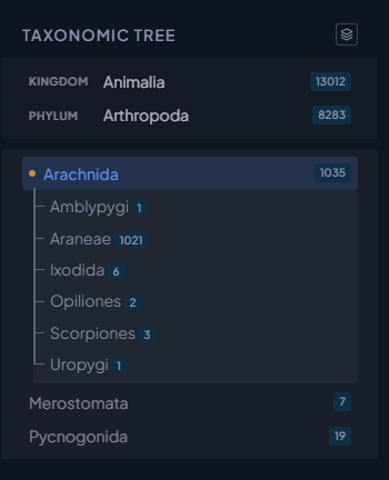 Taxonomic tree navigation on a taxon page