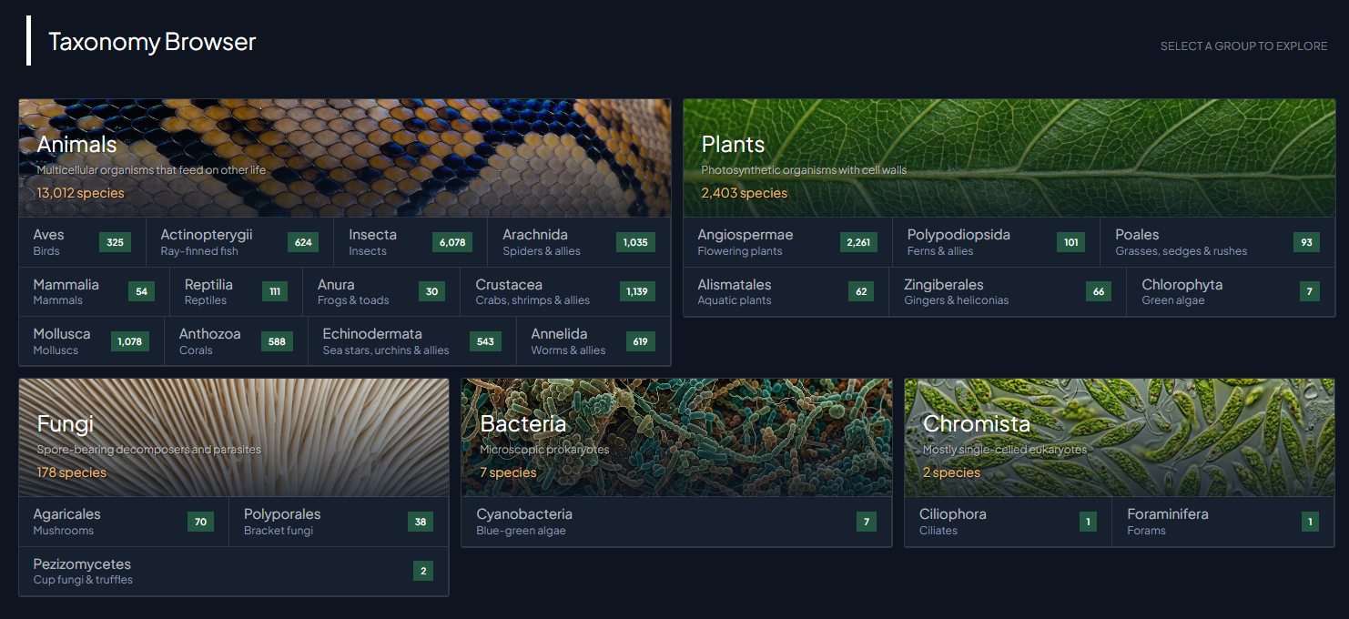 Taxonomy Browser on the BOS homepage